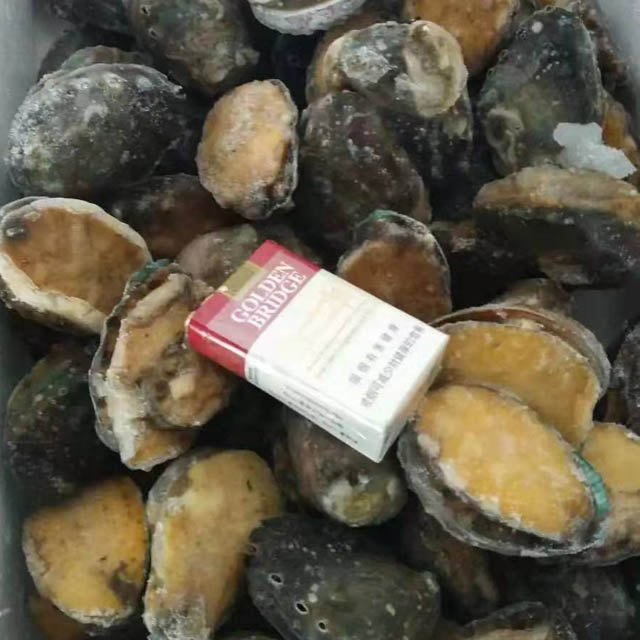 Abalone Meat IQF Size 10/12/16/20/22/28pcs Per Kg Cleaned Gutted